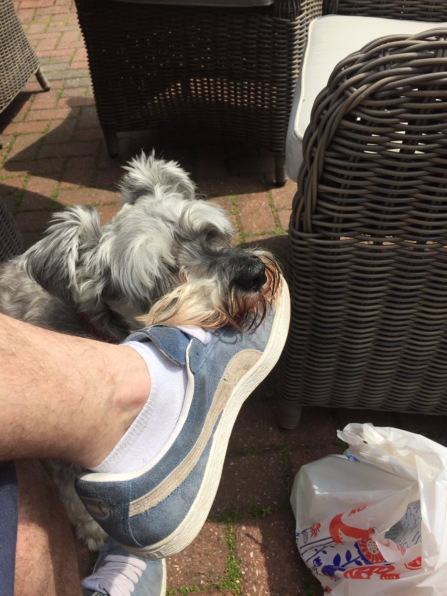 ClewarthW's tweet photo. Art select herringbone from @KarndeanFloors  in a porch using High temp adhesive. https://t.co/UIuSMa8GGq