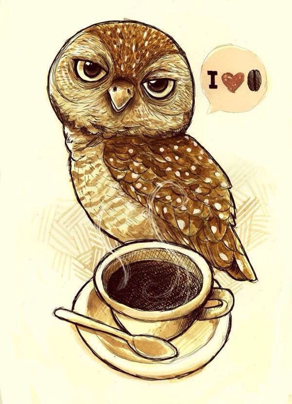 microcaffe's tweet image. Hello little night owls! #microcaffe #coffeism