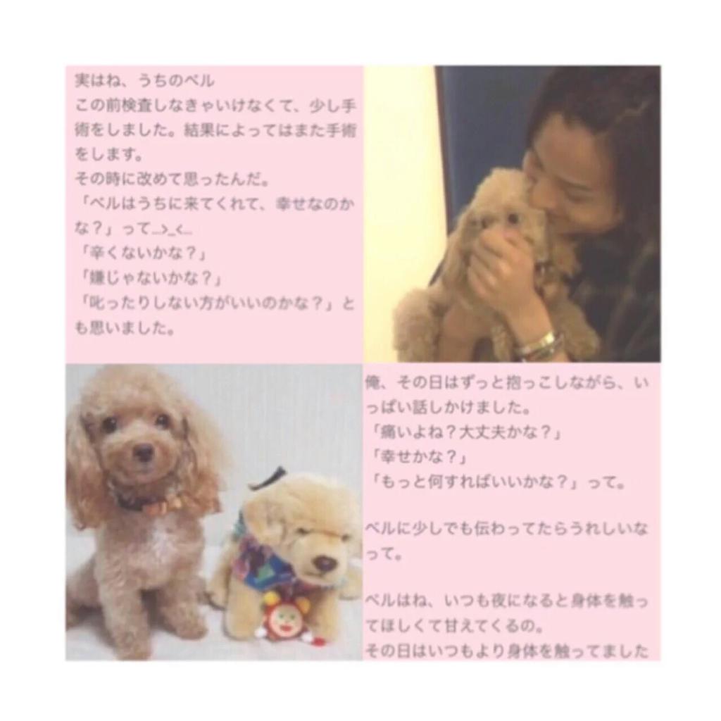 キスマイ横尾 藤ヶ谷で犬トレーナー漫画 Dog Signal tvドラマ化希望 みやうち沙矢作品 リズム音痴がフラメンコ キスマイ横尾 藤ヶ谷で犬トレーナー漫画 Dog Signal tvドラマ化希望 みやうち沙矢作品 リズム音痴がフラメンコ