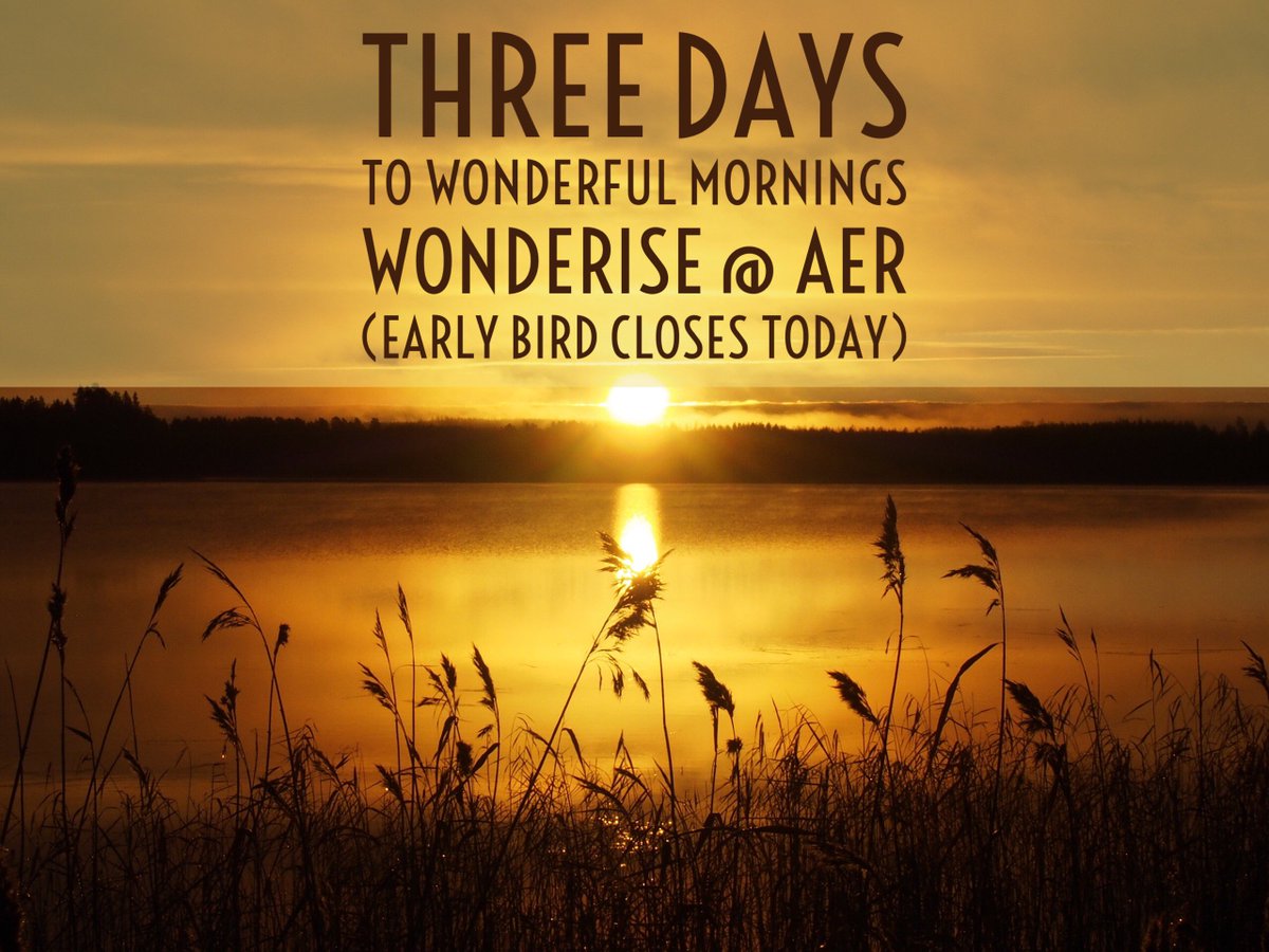wonderrise's tweet photo. Wonderise Early Bird tickets closing today. Pick them up before they go-go here https://t.co/4leWKBFHna https://t.co/f9jEXoI1Qr