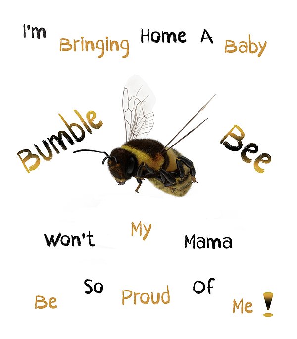 JenniferJBryson's tweet photo. New artwork for sale! - "Baby Bumble Bee" - https://t.co/QWOv0jGYDj @fineartamerica https://t.co/4EE6yke1dX