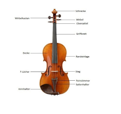 Aufbau Einer Violine Aufbau Einer Violine