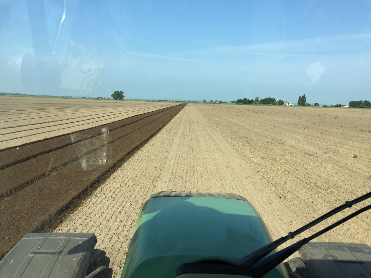 matthews_sam101's tweet photo. @FarmPhotosUK #cabviewwednesday spot of bedforming in front of bulbs. https://t.co/piE8585eaa