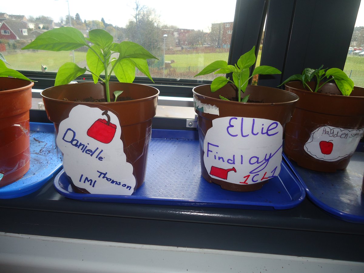 Nurturing and healthy.