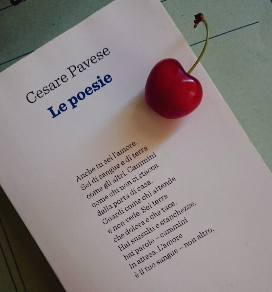 Elide_Fanti's tweet image. Aggiungere del buono al bello
#inUnModo semplicissimo.

#neilibrilatuastoria