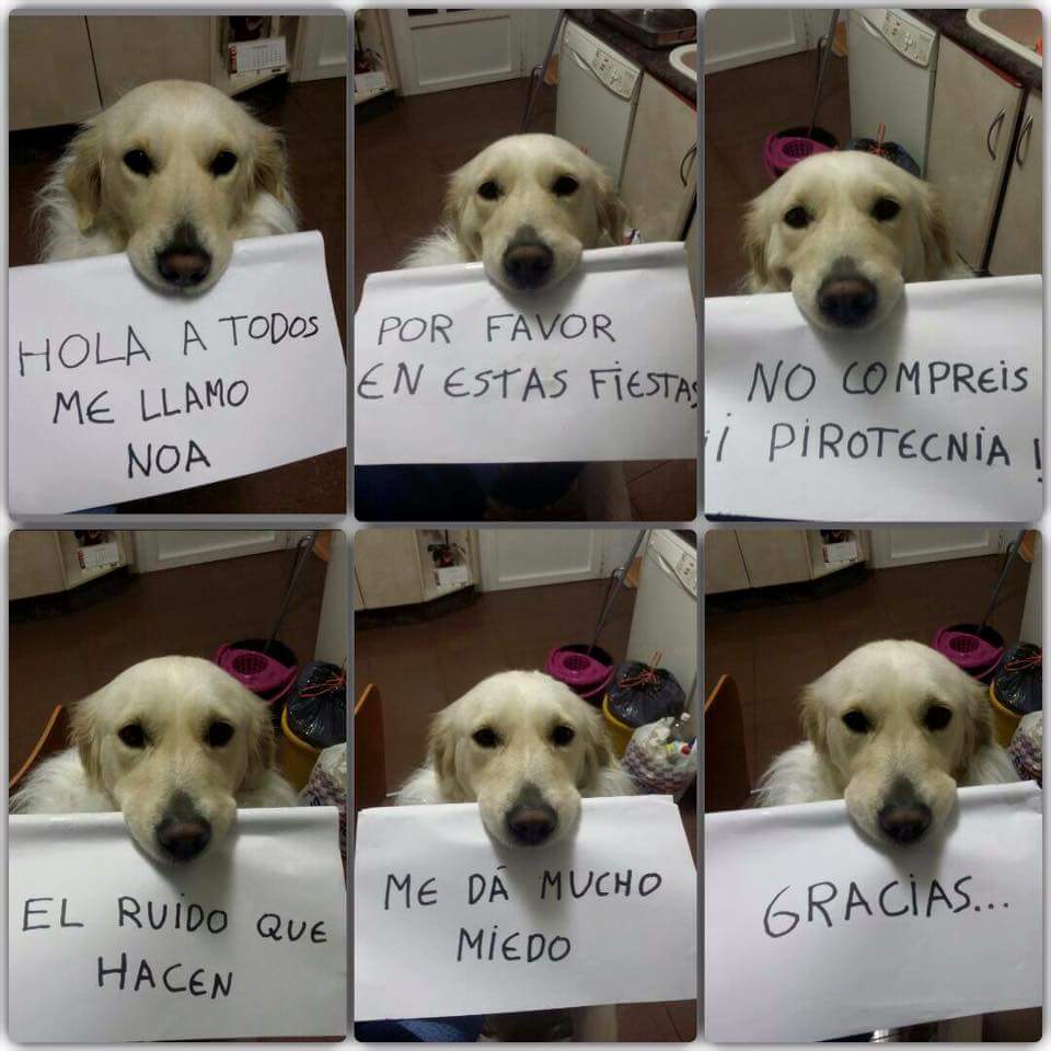 Guardia Civil tweet media