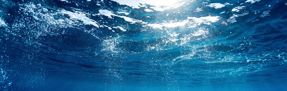 augasdemar's tweet photo. Unos océanos sanos, un planeta sano
8 de junio #diamundialdelosoceanos
https://t.co/NryVJ7bqKx
#aguademar #oceansday https://t.co/kvZYfEuSlO