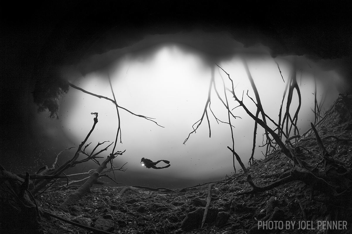 nt_fun_divers's tweet photo. How To Improve Your Underwater Photography in Caves and Cenotes
Whether in fresh or #salt_water, caverns have long… https://t.co/vRs23AYroX