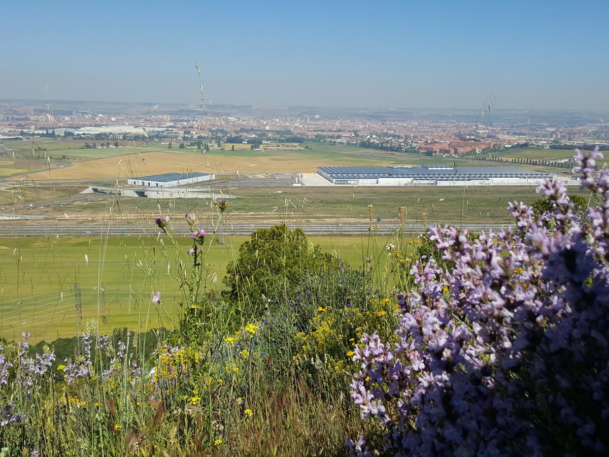 Prietocharro's tweet photo. #valladolid desde Pico el Aguila, 8jun16 https://t.co/pMEOJ7otO2
