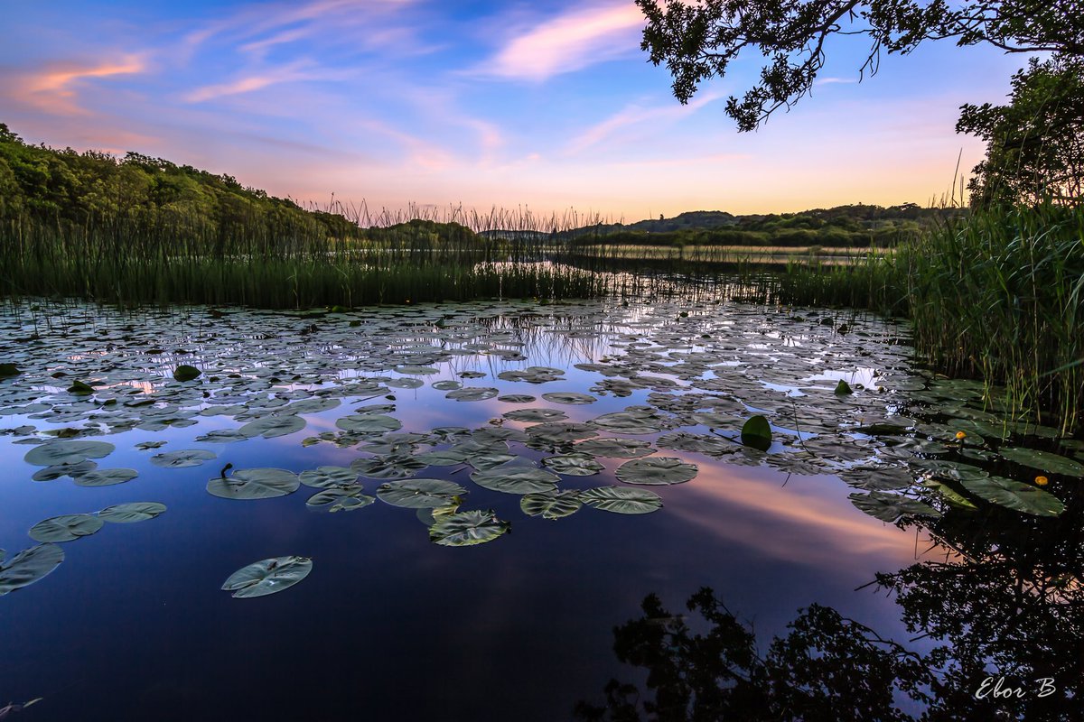 Beautiful West Cork! This evening near @LissArdEstate, Skibbereen. #skibbereen #westcork #cork #wildatlanticway