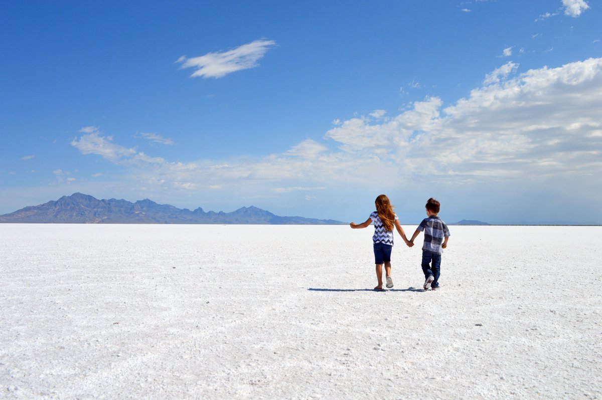 Share the Experience tweet media