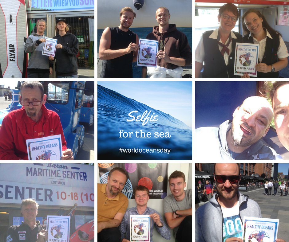 Cali_Tor's tweet photo. Happy #worldoceansday! Greetings from Norway with clean-up and 100% support from the people for #WaveforChange. https://t.co/VIZ7pvHrz1