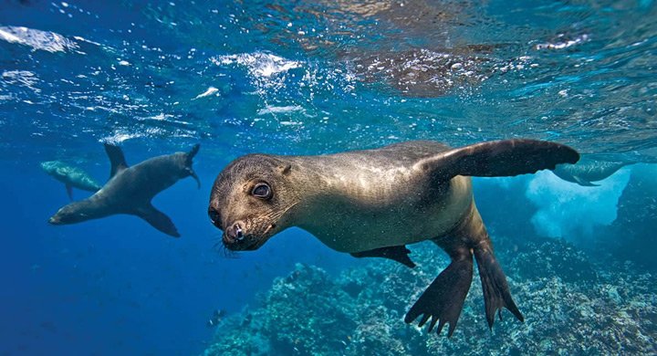 ivi220577's tweet photo. bonito planeta tierra es tu hogar cuidalo #diamundialdelosoceanos https://t.co/15li4jKCRd