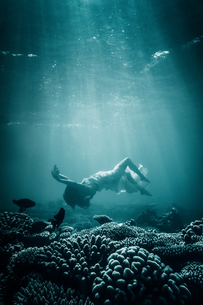 Happy #WorldOceansDay!
Photo by Sean Lee-Davies