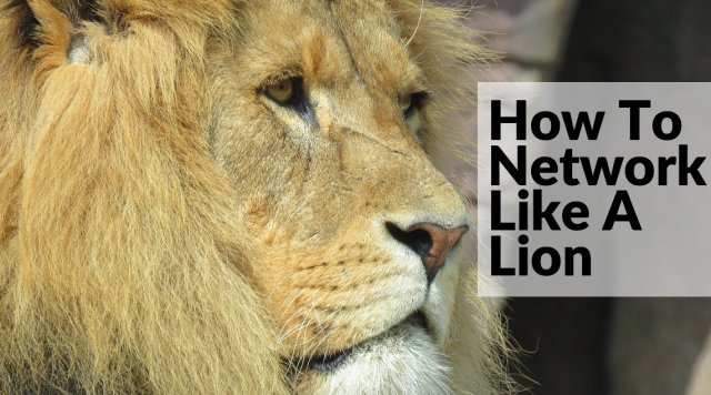 _Yooniko's tweet image. How to Network Like a Lion, Not A Mouse buff.ly/1XSOB3A