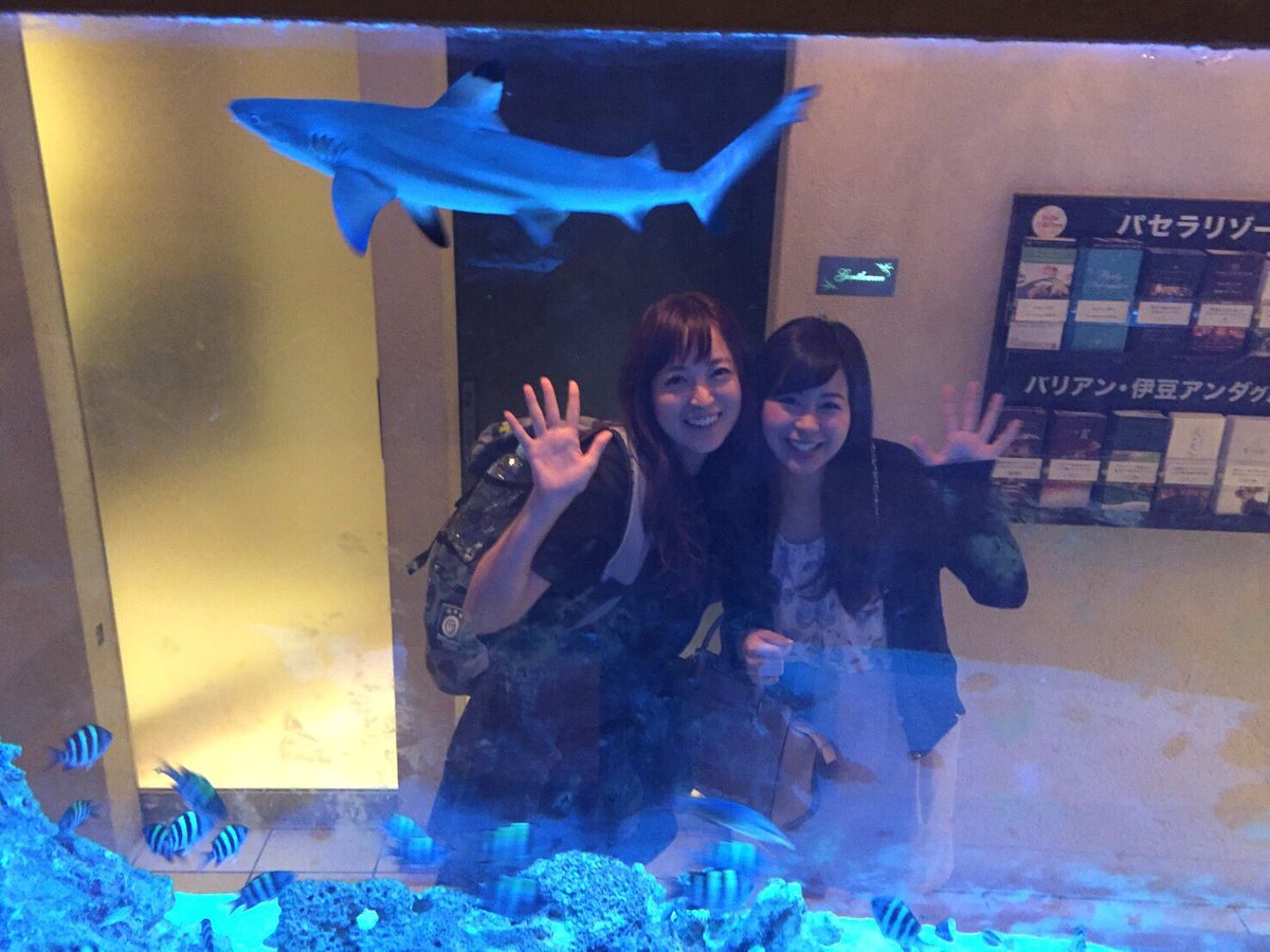 ブラックチップシャーク ブラックチップシャーク