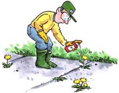 Glyfosatbaserte sprøytemiddel kan bli forbudt #glyfosat #sprøytemiddel owl.li/jPqO3012yYt