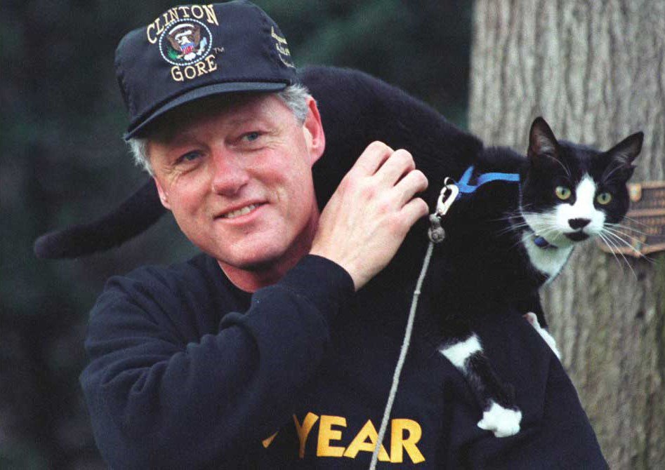 KittyCatWeb's tweet image. Did you know...
Socks the cat served as the Director of Feline Affairs during the Clinton Administration.