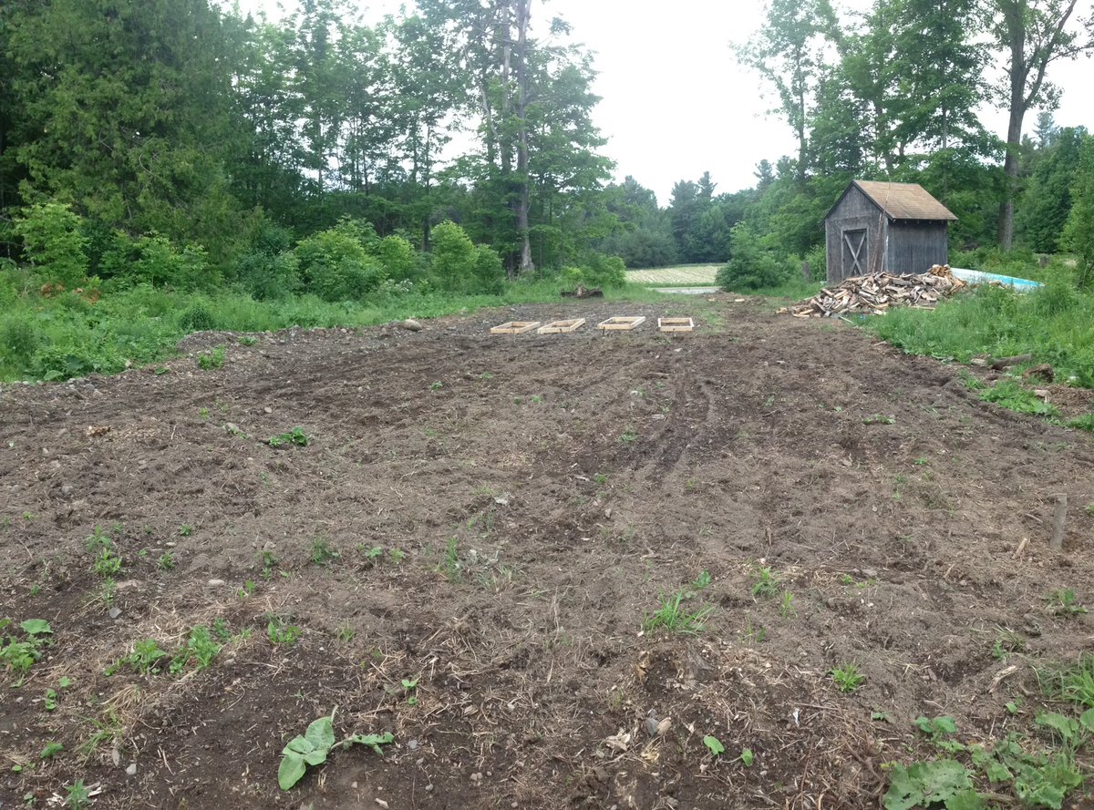Late, but finally all in. Raised beds are for the kids to grow radishes. Cucumber, chard, kale, onion, carrot, beans