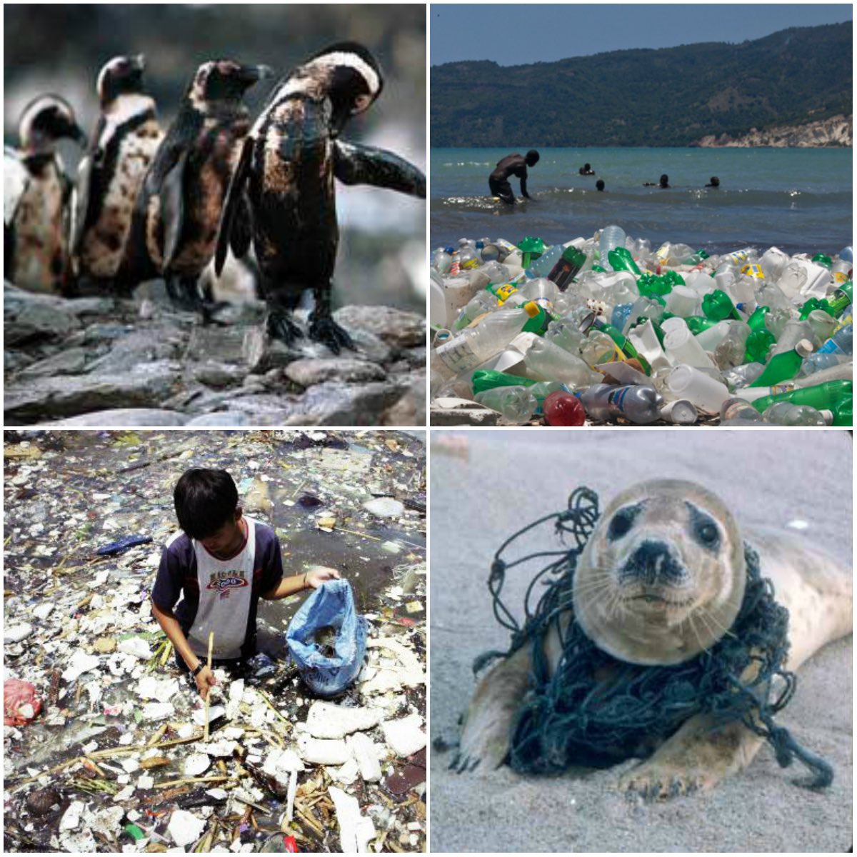 Ulrich Janse van Vuuren tweet media