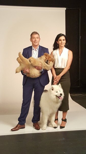DrGlenRichards's tweet photo. High Five Barney! Your owner has a business partner! #SharkTankAU https://t.co/M4aky0sqHF