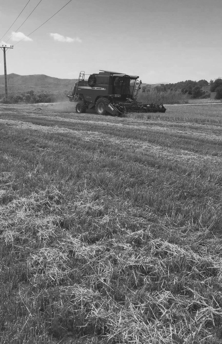 MF_Spain's tweet image. Tiempo de #cosecha, tiempo de @MF_Spain  
Para tu cosecha #apuestaporelrojo