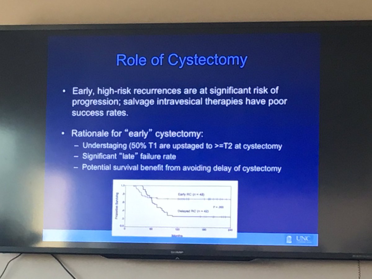 angiesmith_uro's tweet photo. Pruthi discussing 2016 NMIBC @AmerUrological guidelines- important points re BCG relapse &amp; early cystectomy #blcsm https://t.co/7z2O8dKKcx