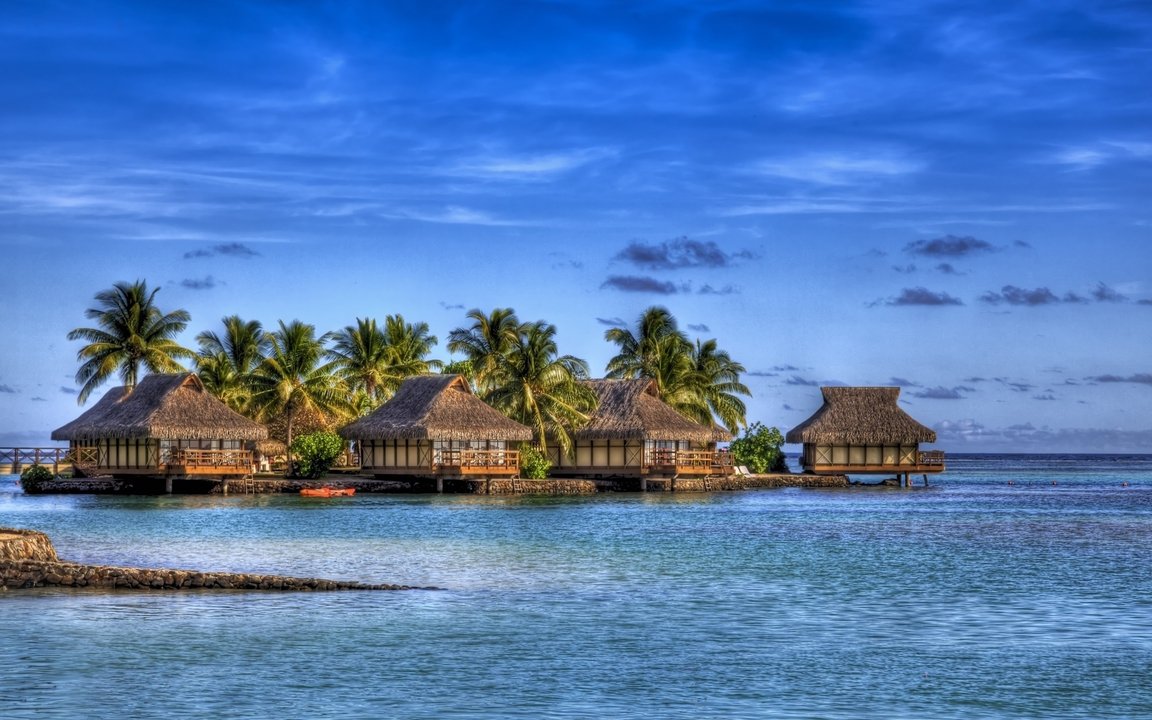 DesktopWallpapers4 tweet media