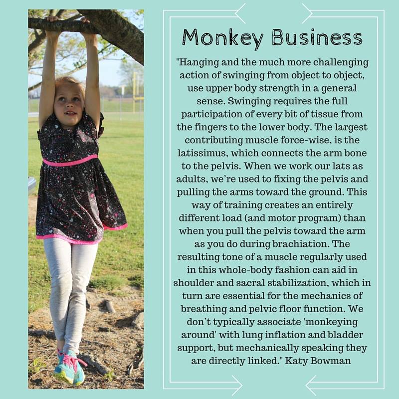 StrongBeginning's tweet photo. 'Monkeying Around' and its impact on our body.  #moveyourDNA #everychildmatters #pediOT #OT https://t.co/vmyuxI3blP
