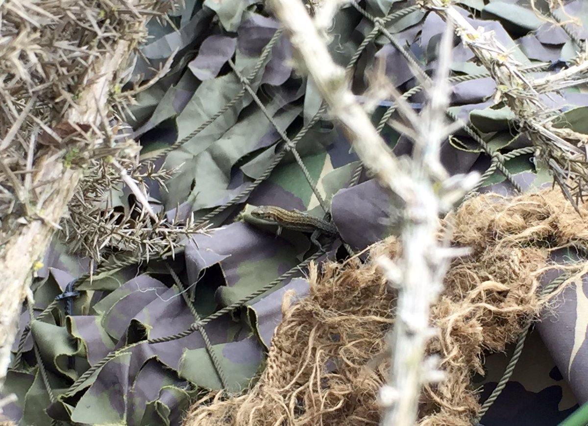 They start them young in 127 (Dragon) Battery tactical group! #jointfiresexcellence