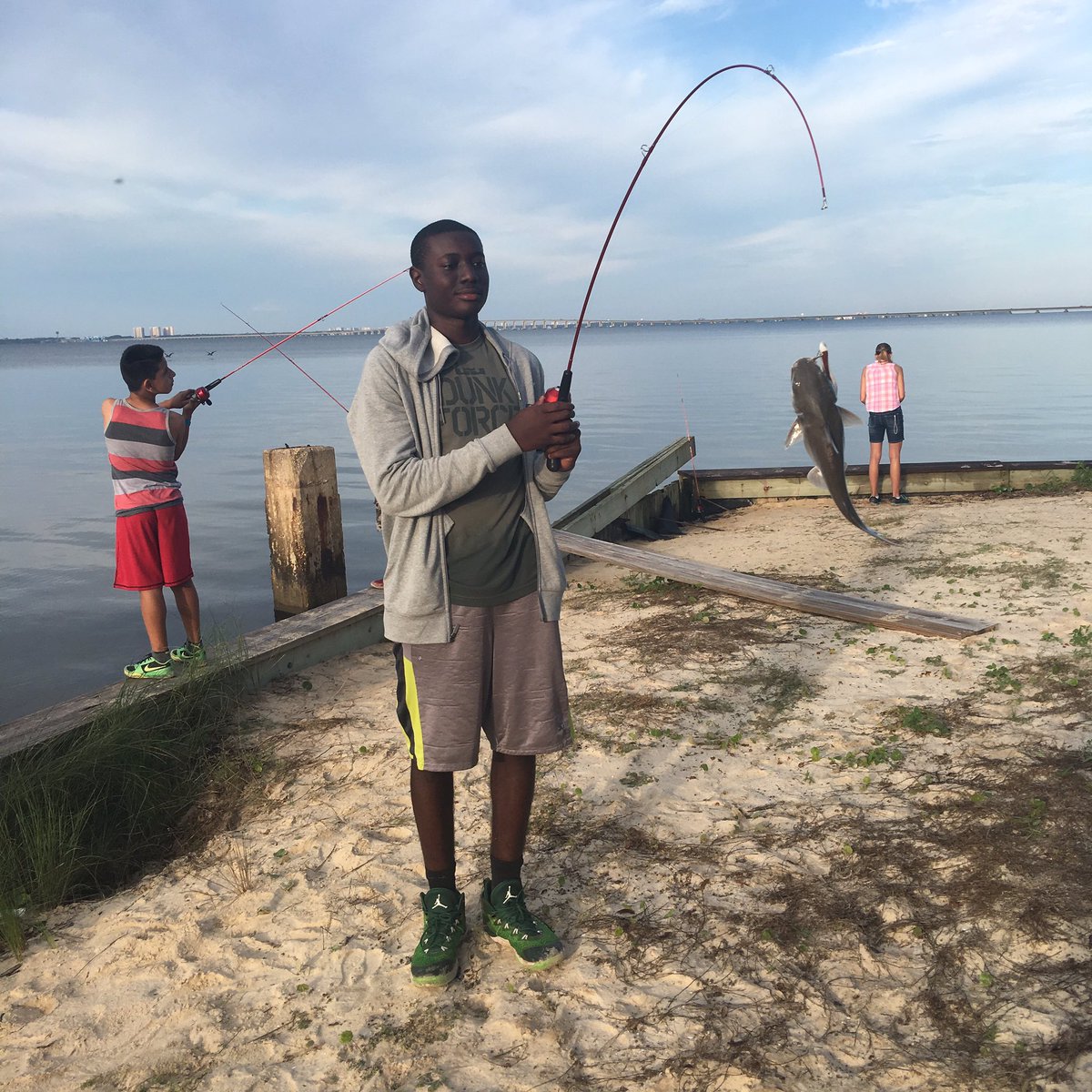 UF/IFAS Leon 4-H tweet media