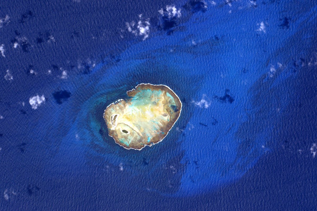 Our #oceans are the blue in our big blue world. Let's take care of them!#WorldOceansDay