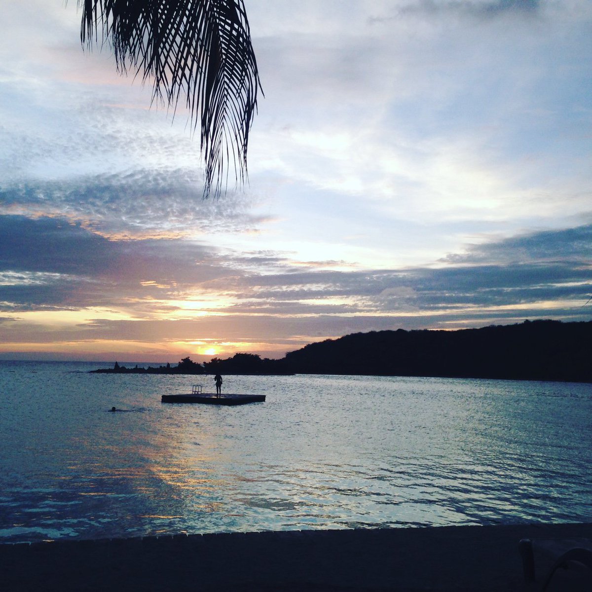 MLeeuw_'s tweet photo. Na een heerlijk relaxte week op #Curacao met frisse energie weer aan de slag #Decom https://t.co/x0MSBbClnn