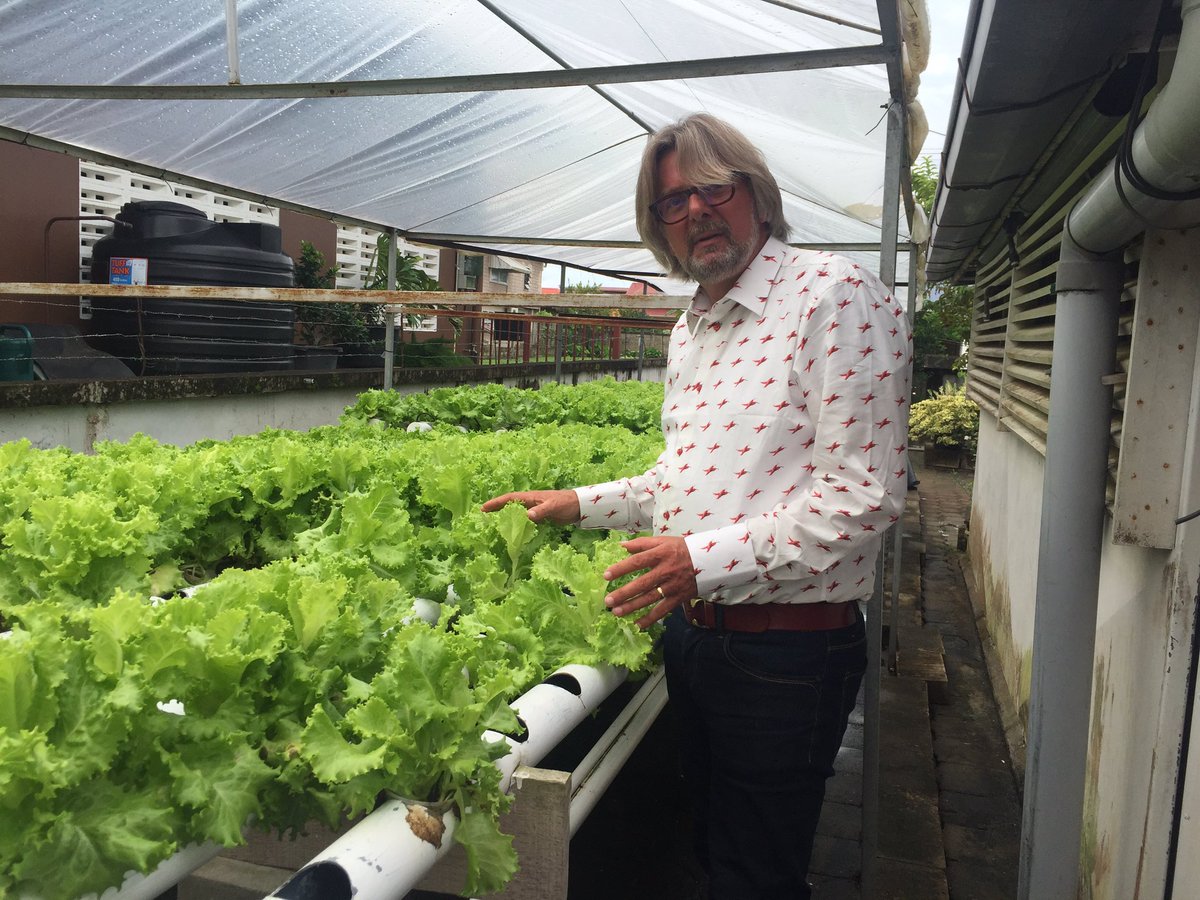rjpbaan's tweet photo. leuke hydroponic teelt in #suriname @hendrikcomvali1 @Stichtingdons volgens mij kan Nl slazaad het verschil maken! https://t.co/h7RSQVciAO