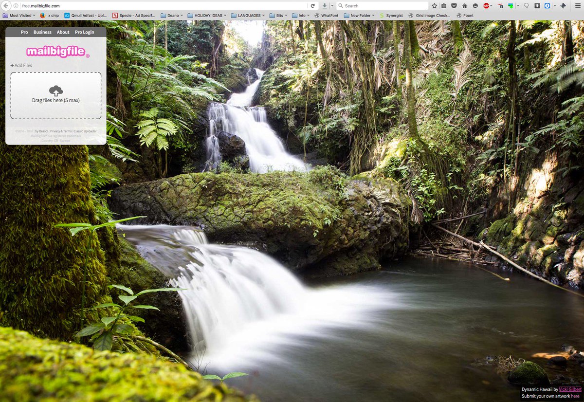 MaKaiPhotos's tweet image. Go to free.mailbigfile.com today to see another one of my photography submissions! #mailbigfile #makaiphotos