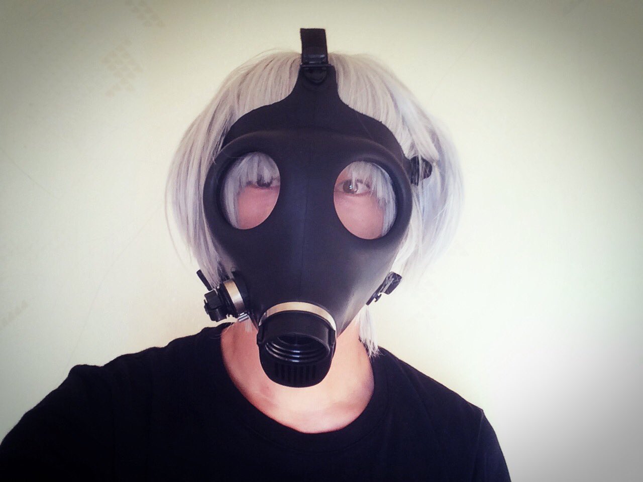 تويتر ビュルゲル花 على تويتر そういえば ついにイスラエル製ガスマスクを買いました 民間用でドリンクチューブついてるやつ 6 18か19に着けて行きたいなぁ おいでよマスクの沼 T Co Vzxblk2hbi
