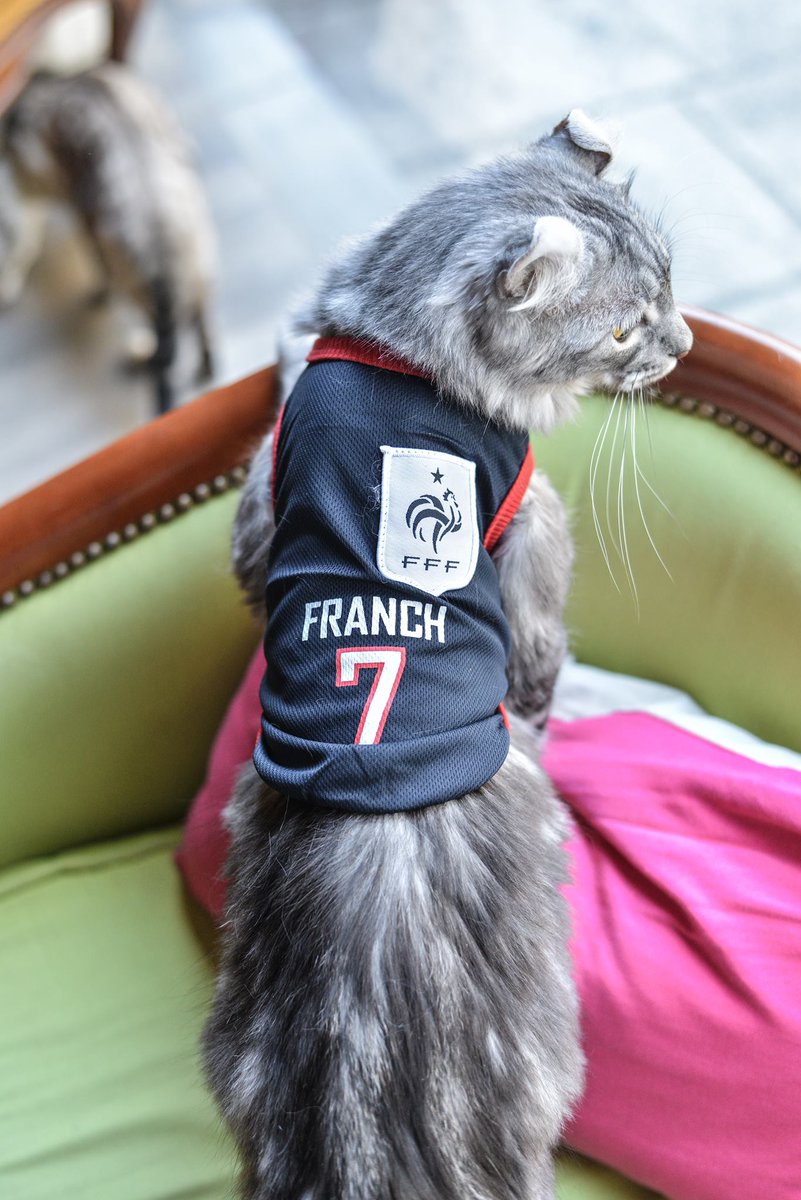 #JeSuisPasUnFootixMais j'ai un maillot de l'équipe de Franch #EURO2016