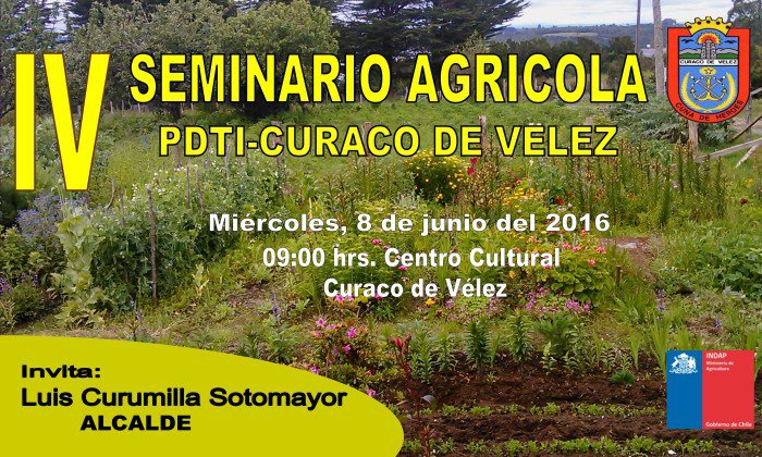 radiochiloe tweet media