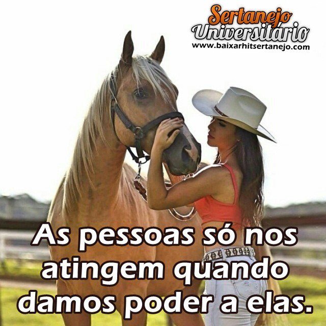 Vaqueira de luxo (@vaqueiradeluxo) on Twitter photo 