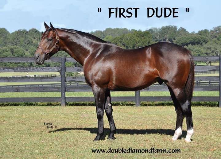 FirstDudeDDF's tweet photo. #6 2016 leading 2nd crop sire w earnings of $885,966. Time to get your Dude @OBSSales
#OBSJune #Undertack https://t.co/Tul5VJsO5G