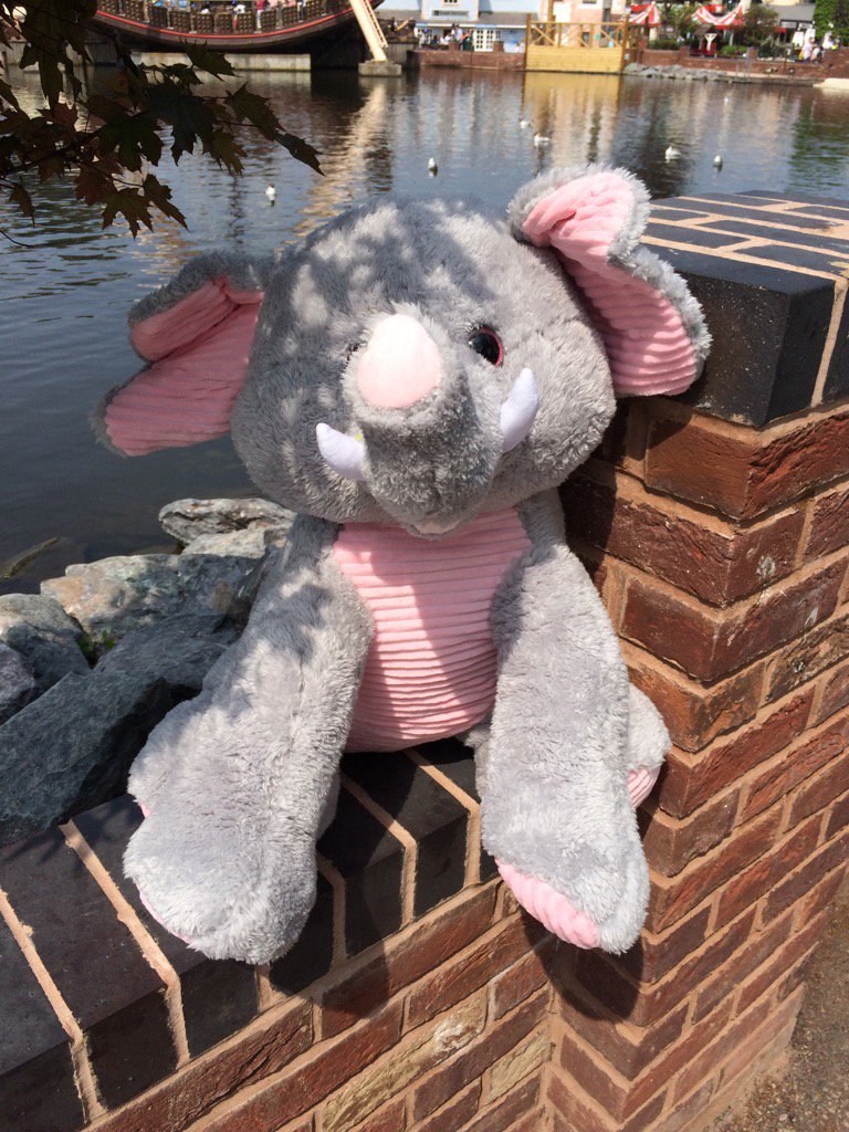 The latest member of our young carers service! #draytonmanor #carersweek #rotary