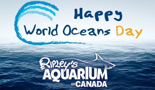 RipleysAquaCA's tweet photo. Happy #WorldOceansDay! We'll be sharing some eye-opening facts and conservation tips throughout the day! https://t.co/tmYUmhyhDi