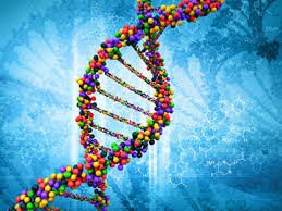 slimgeneration1's tweet photo. We know there is only one you, and we design your program based on your unique #DNA.
More - https://t.co/4ZiSjgPcOS https://t.co/o9PZIQMhTs