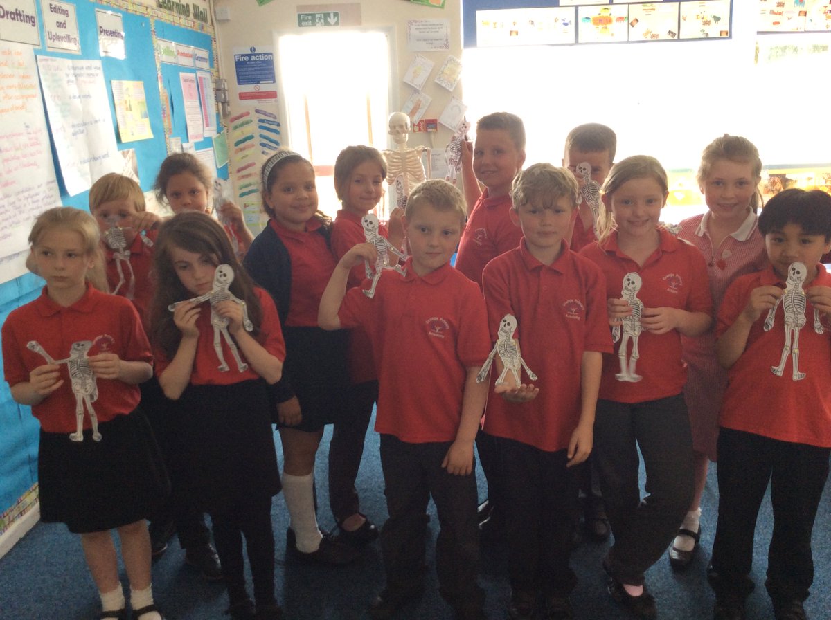 GPA_UPP's tweet photo. We've been learning all about our skeletons this afternoon in Indigo Class #handsonscience #scienceweek https://t.co/50CvPQAgrF