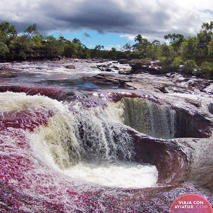 Aviatur tweet media