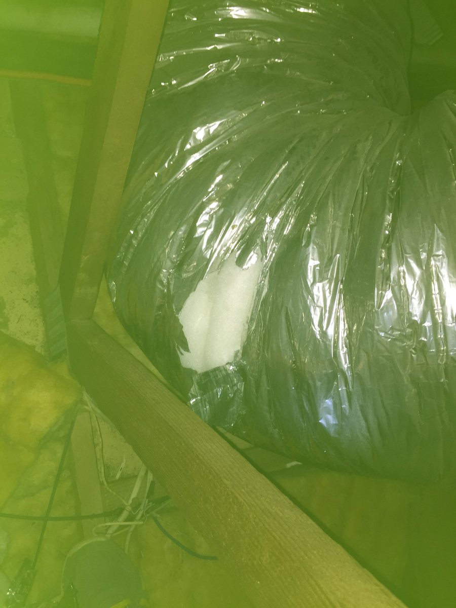 PestControlSH tweet picture
