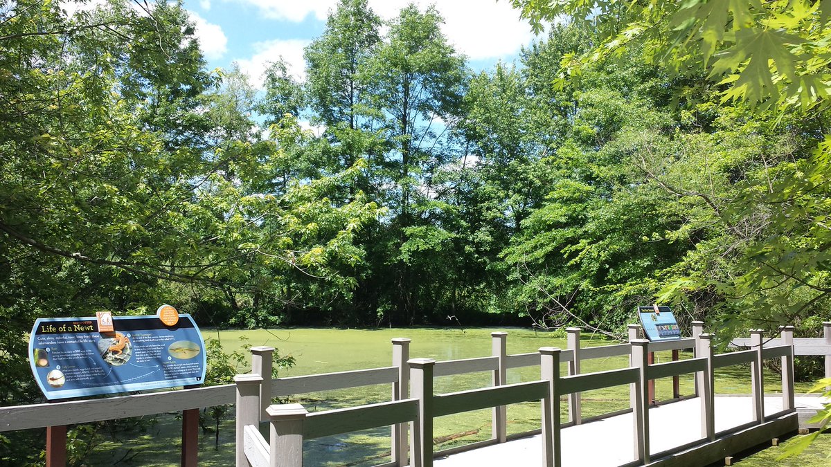 Core_CG's tweet image. My office today! @cincy_nature  #CoreConsulting #CoreGrowth #leadershipdevelopment #OutdoorLearning