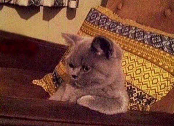 lKeepItReaI's tweet photo. Trying to think of ways to become a millionaire overnight so you don't have to go to work tomorrow https://t.co/P9giP6BkuH