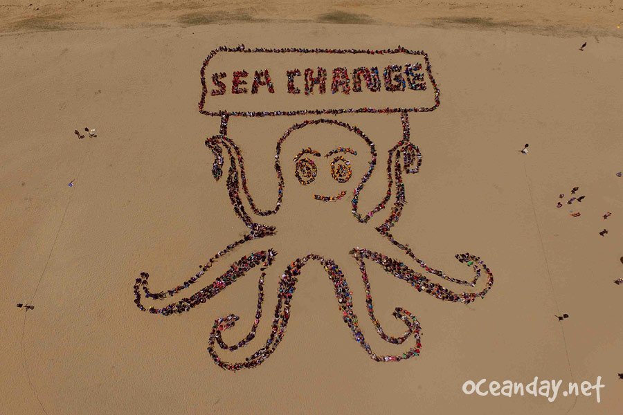 MissionBlue's tweet photo. WOW! What have kids done for #worldoceansday? Look at this amazing crowd art! Learn more: https://t.co/DojPYZIo53 https://t.co/KQQ3Pj1yXM