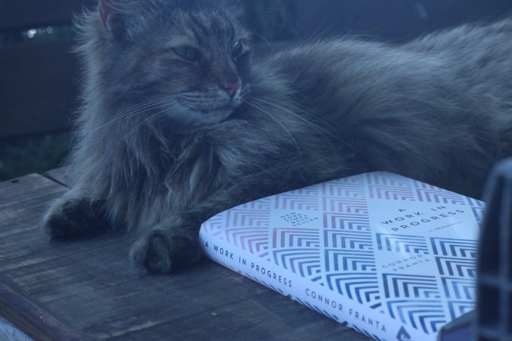 ROCKETCAYLEN's tweet image. something came in the mail all the way from US to Israel yesterday! 
I'm so happy &amp;amp; I love u 💙@ConnorFranta